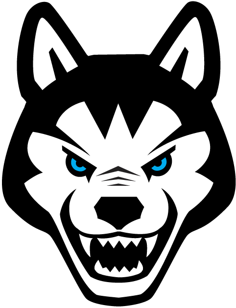 Northeastern Huskies 2001-2006 Alternate Logo 01 iron on paper